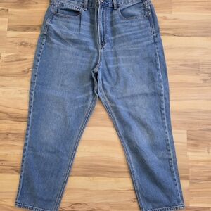 American Eagle Outfitters Blue Denim Jeans
